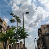 miro2007_00