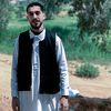 mehat_2002