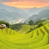 manhthuong30