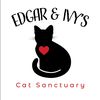 Edgar & Ivy’s Cat Sanctuary