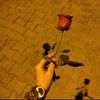hacer_savari1313