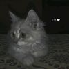 sohayla.hosam1