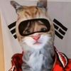 tony_thelooser