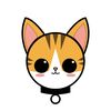 gatito.company