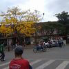 edisonzuleta670