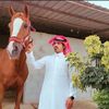 abdullh7994