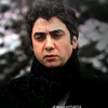 kurtlarvadisipusupolad