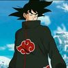 kevin_cz.11