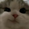 usersep3