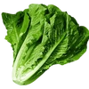 lettuceeeeeeeeeeeeeeee