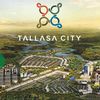 tallasa_city_official