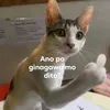 ngekkkkka