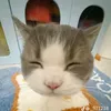 abcxyzkoe