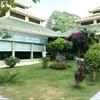 mylovebonsai