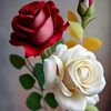 mohammed.sumon32