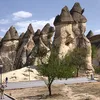 habicanimyalla