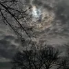 _vlog_mt