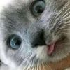 hehhhhhhhhhhhhhhg