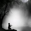 eltayeb5555