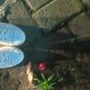 raao_