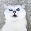 lvrpra