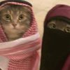 malak_hany167