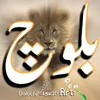 user5539086139489