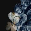 rovaina.sanad