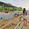 _jessy1