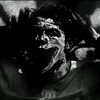 salvador8451