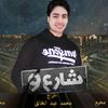 farid_bassiouni