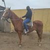 rojas.kike