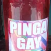 pinga_gay345