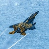 rsaf28