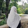 lannursmr