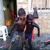 17_karloncho