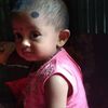mdmotalebhazary