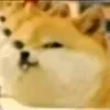 pikkxml