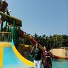 imdadul.haque.cho