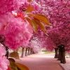 tasinahamed465
