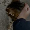 meriem123_66