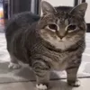 ktoya_chtoya