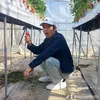 nguyenvu.38
