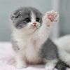 lookfhun