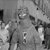 old_man_goji