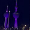 yq_q8