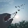 amanullahaman21222324
