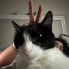 usernamenope96