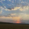 alanxoshnaw14
