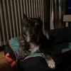 utwalltheway